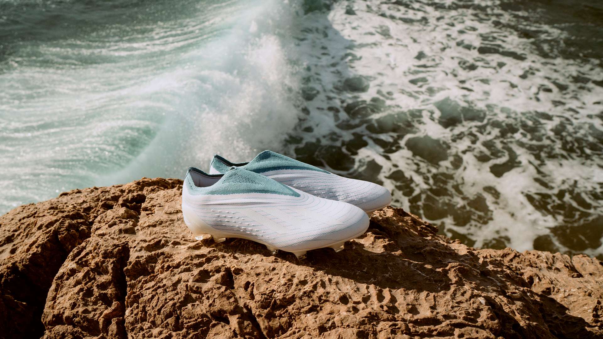 只因忠诚是 只因忠诚是